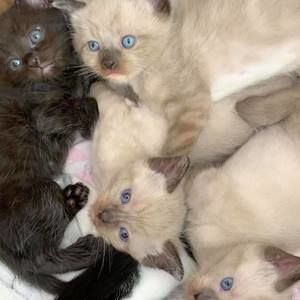 Meet your Posher, Stacy